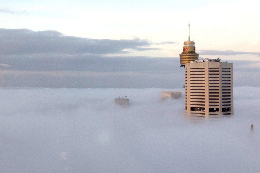 Buildings in the Sydney CBD poke out of a fog.