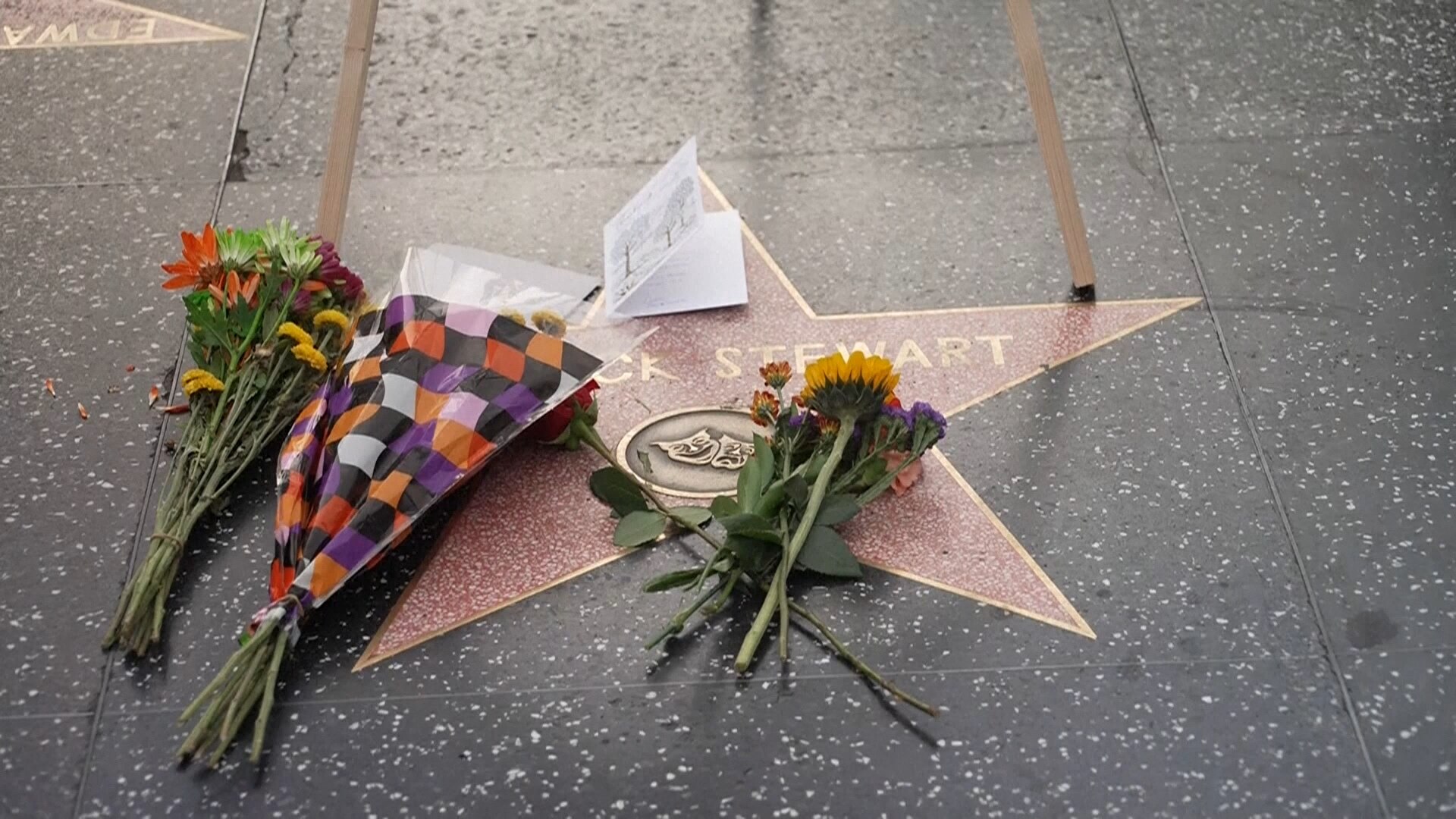 VIDEO: Fans pay tribute to Patrick Stewart on Hollywood Walk of Fame - ABC News & Headlines – Australian Broadcasting Corporation