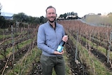 A young man holds a bottle of wine and stand in a vineyard
