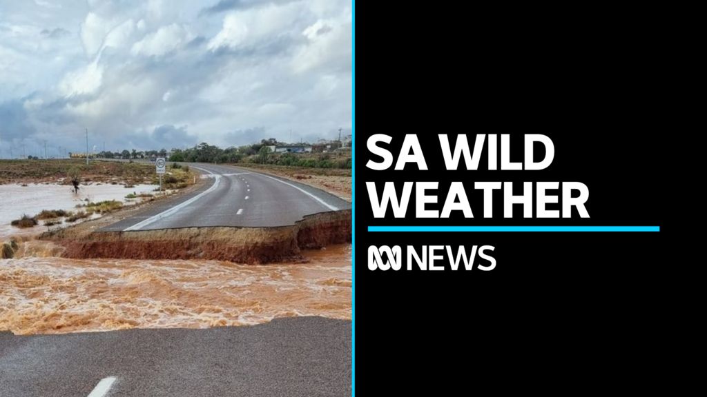 Heavy rain and severe floods wash away roads in regional SA - ABC News