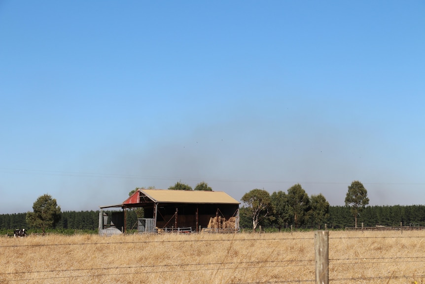 Grey smoke rises in a plantation behind a field with a hay shed