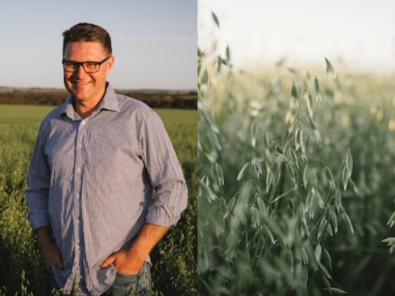 Two images. Left: Man standing in paddock smiling. Right: Oat crop.