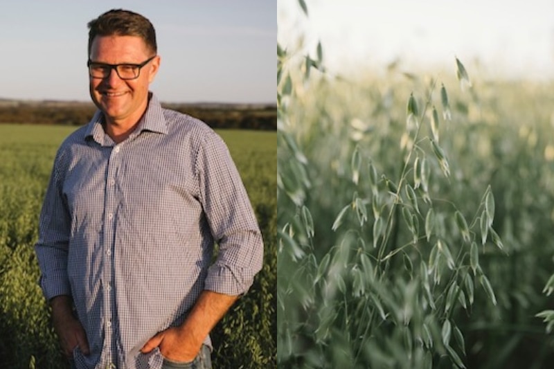 Two images. Left: Man standing in paddock smiling. Right: Oat crop.