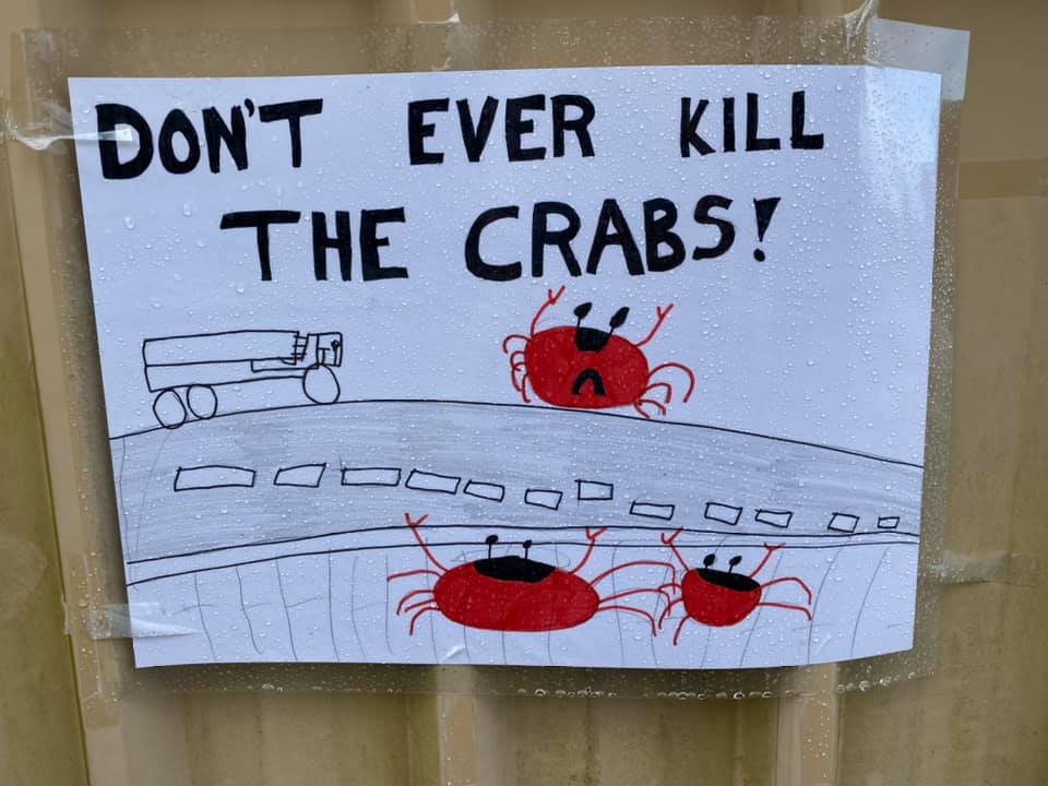 A poster made by a student saying "Don't Ever Kill The Crabs"