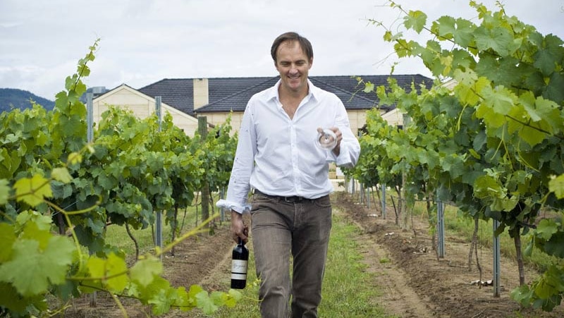 Winemaker Andrew Margan walks along rows of grape vines