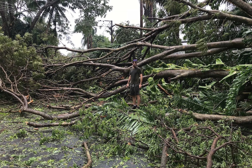 A man surveys the damage caused by Cyclone Marcus.
