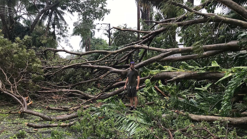 A man surveys the damage caused by Cyclone Marcus.