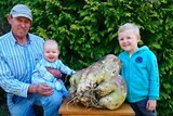 A man and two young children with a giant turnip