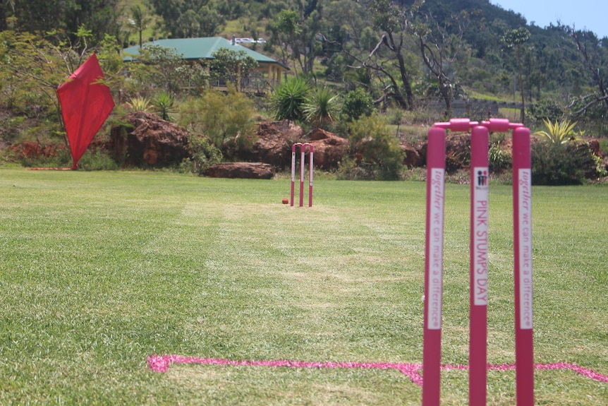 A green backyard with a mowed cricket pitch and pink cricket stumps