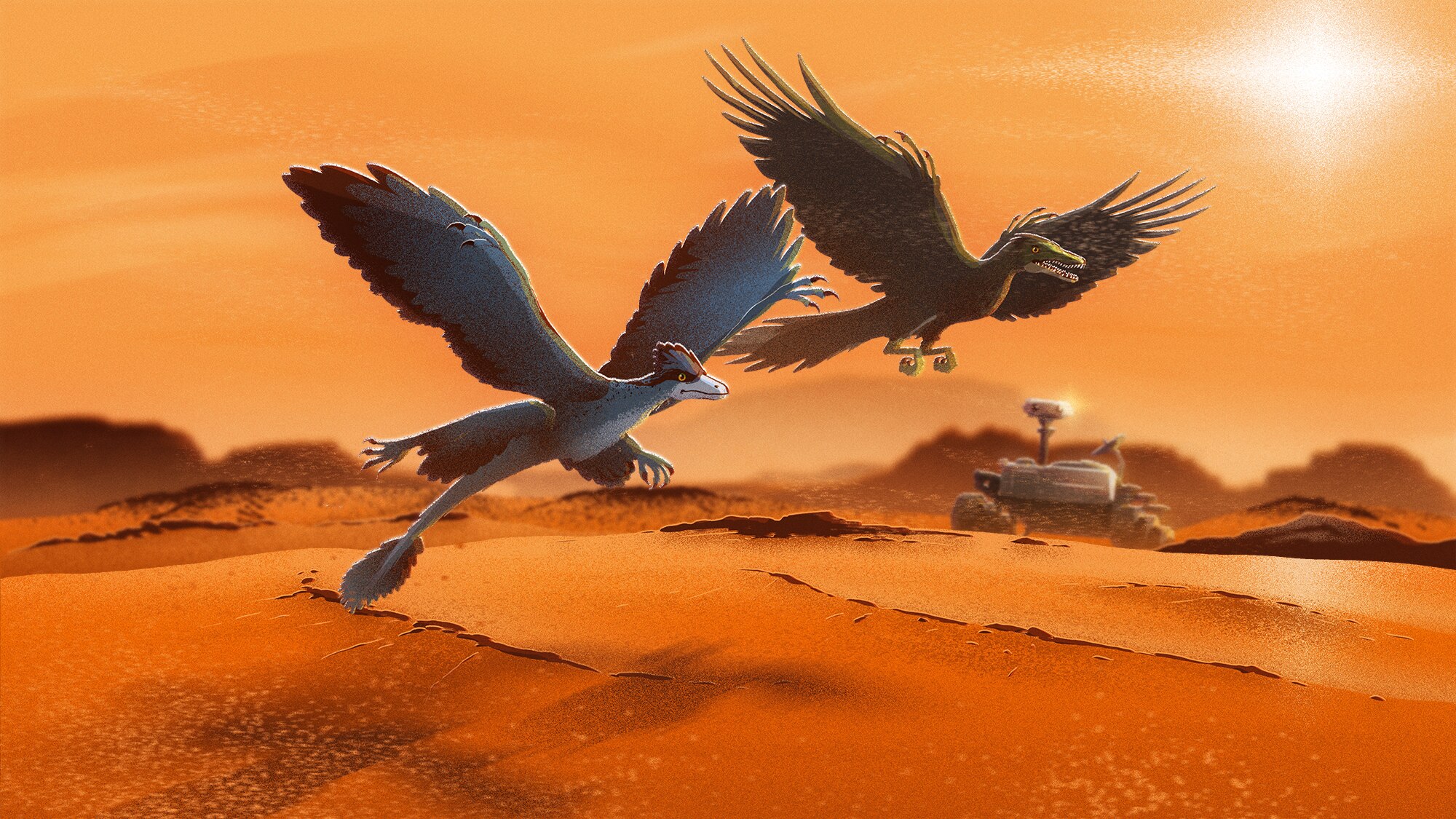 Microraptor vs Archaeopteryx
