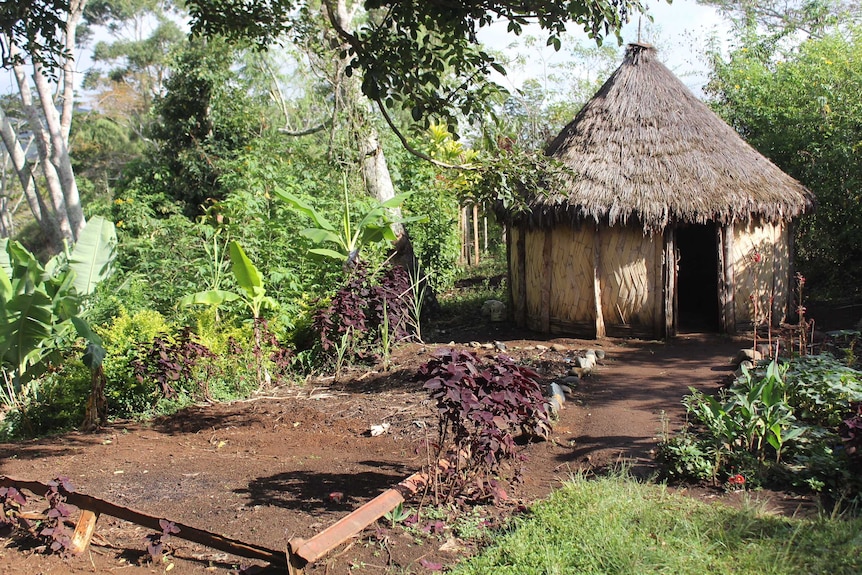 A traditionally-built house surrounded by bushland in the PNG highlands.