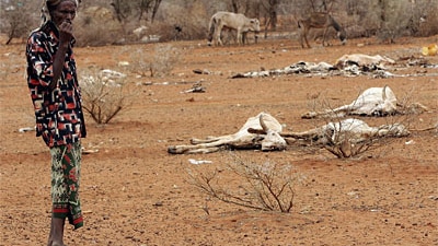 Famine, like seen here in Kenya in 2006, will drive future conflict for control of resources