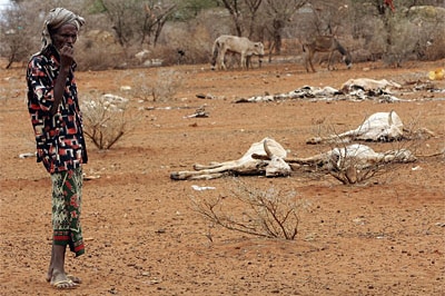 Famine, like seen here in Kenya in 2006, will drive future conflict for control of resources