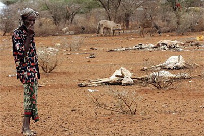 Famine, like seen here in Kenya in 2006, will drive future conflict for control of resources