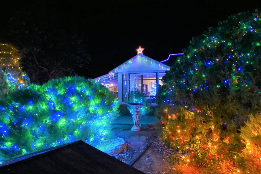 Green blue and yellow fairy lights in bushes, in the background a house with a lit star.