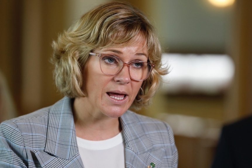 Zali Steggall wearing light red glasses and a grey suit jacket mid-sentence