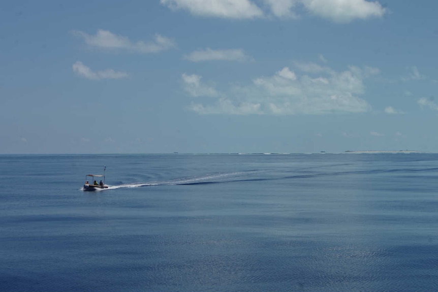 Scientists conduct research on shark populations at Ashmore Reef in northern WA on a blue ocean in a small boat