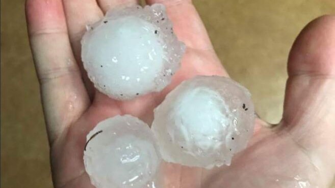 A hand holding three large hailstones.