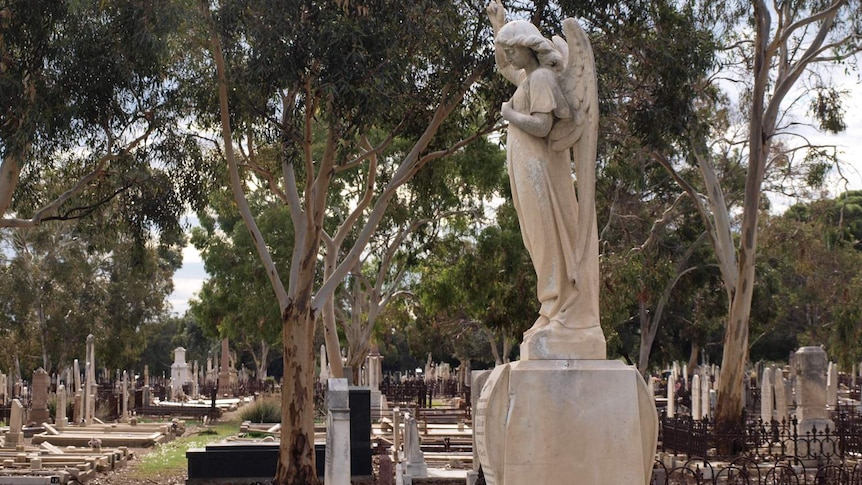 Angel statue  in the West Terrace Cemetery.