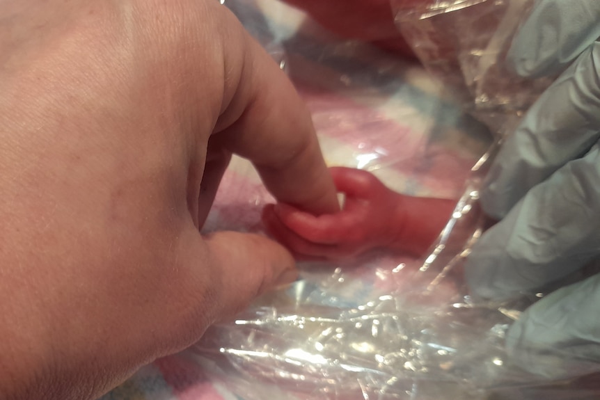 An adult uses their thumb and forefinger to hold the tiny red hand of a baby. 