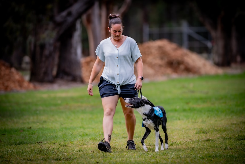 A young white woman walking next to her service dog in a park. The dog is a border collie