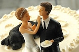 Bride and Groom and Dog on Cake