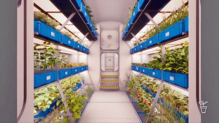 Interior room of a space craft with rows of plants growing on shelves on either side
