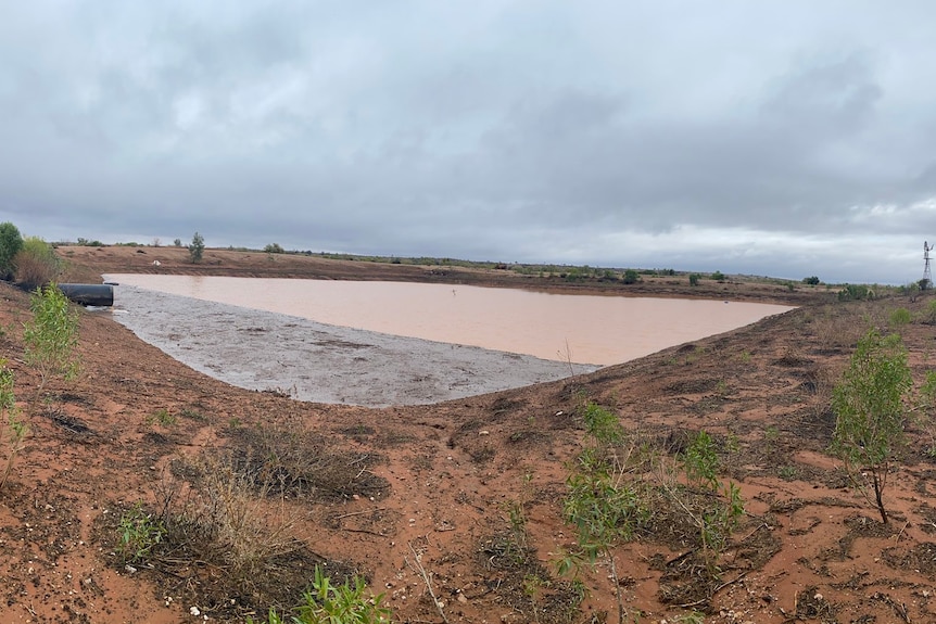 A dam nearing capacity following rainfall at Cymbric Station in far western NSW. 