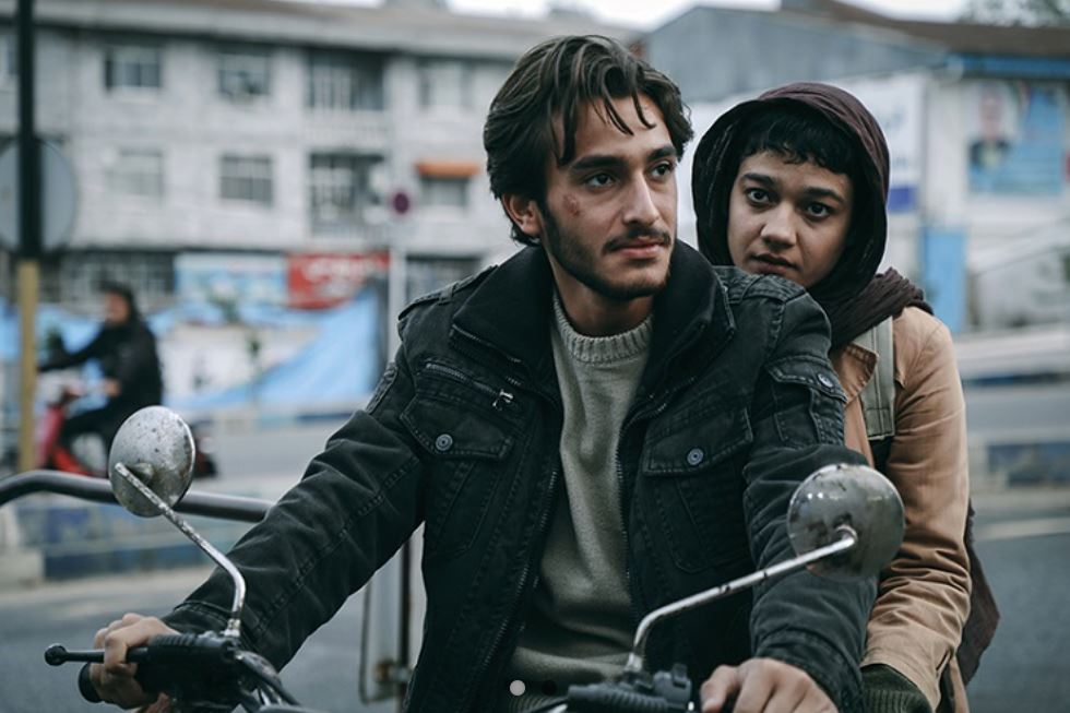 'Empty Nets': A quiet tragedy - ABC listen