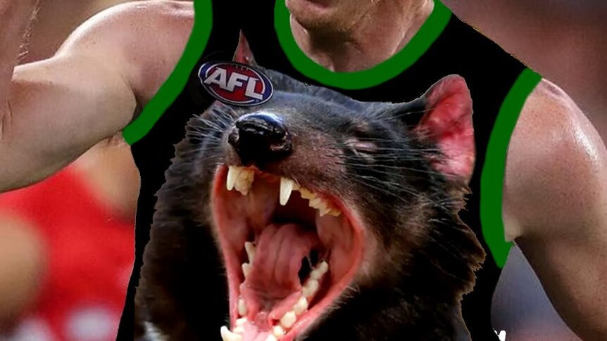 Tasmanian devil on an AFL guernsey.