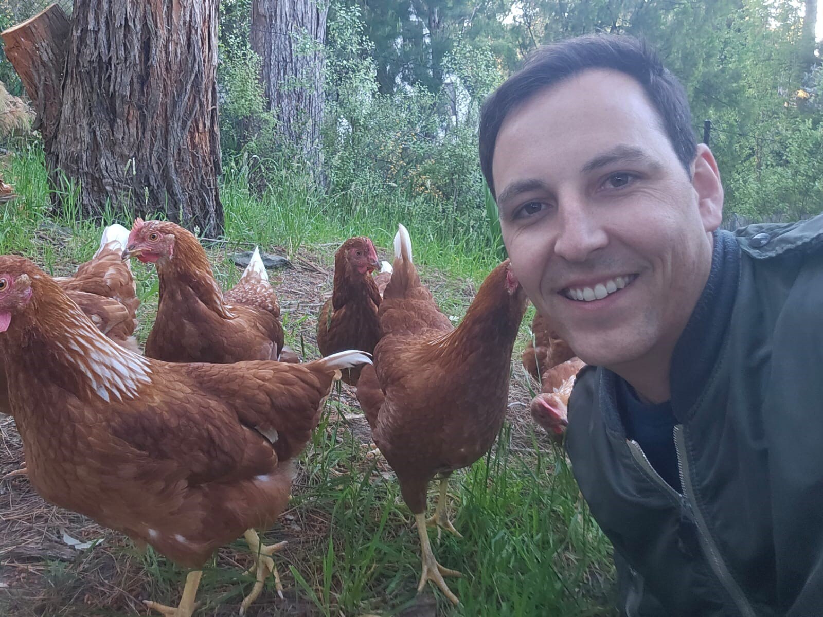 Adelaide's 'Chicken Man' councillor and his 'out of context' feathered ...