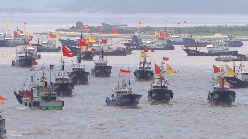 Chinese trawlers heading out to sea.