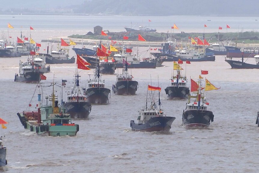 Chinese trawlers heading out to sea.
