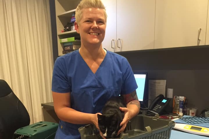 A vet holds Poppy the cat