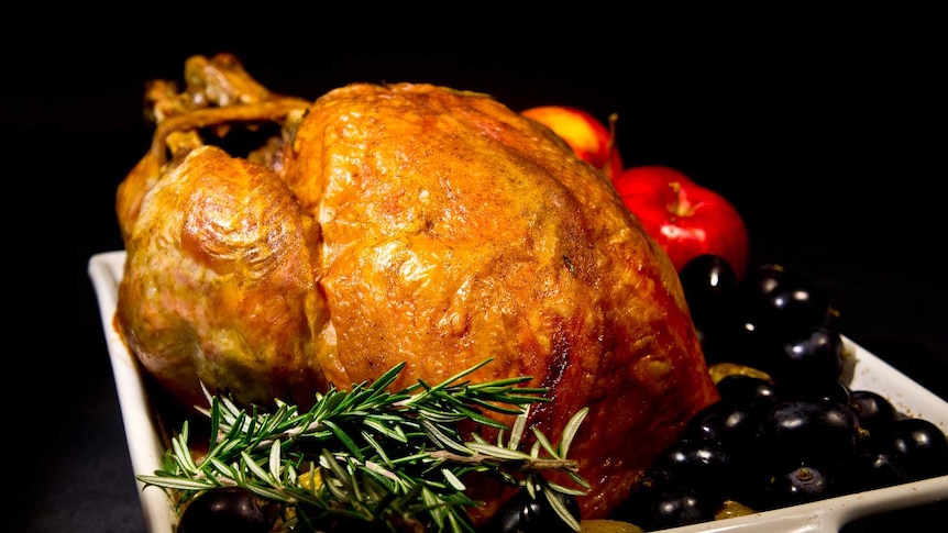 Thanksgiving Turkey generic