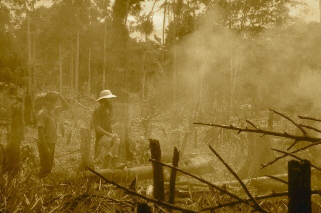 Two men look over a smoking field of felled trees in the Amazon Rainforest.
