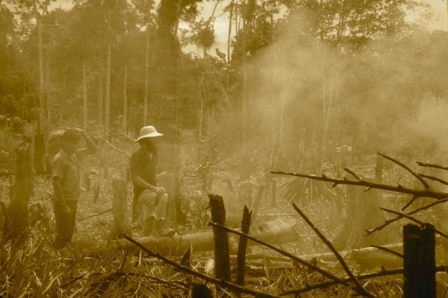 Two men look over a smoking field of felled trees in the Amazon Rainforest.