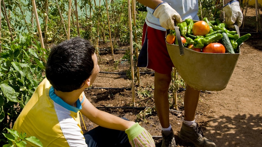 Two young men gardening.