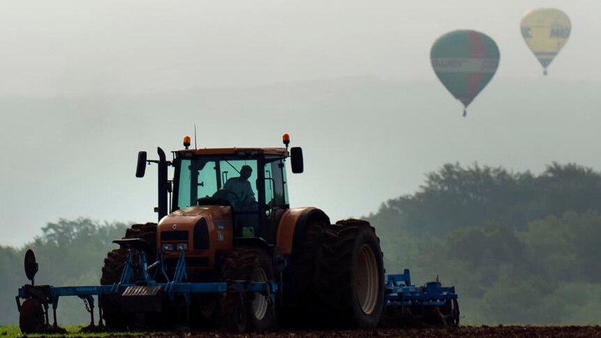 farmer works as hot air balloons fly