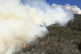 Flames burn up a ridge at in northern Tasmania