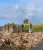 火车引擎拉开装满新割甘蔗的车厢，从甘蔗农场到热带昆士兰州的糖厂。