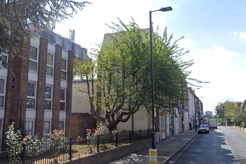 A residential street with a little garden area next to a brick building with a big green tree