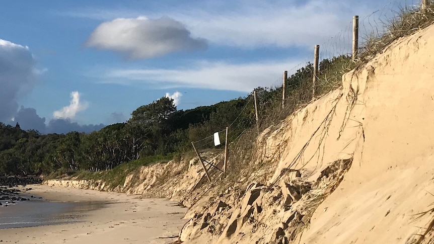 A fence is damaged and nearly falling on the side of a severely eroded sand bank on Fingal Beach