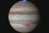 Jupiter with blue aurora near north pole