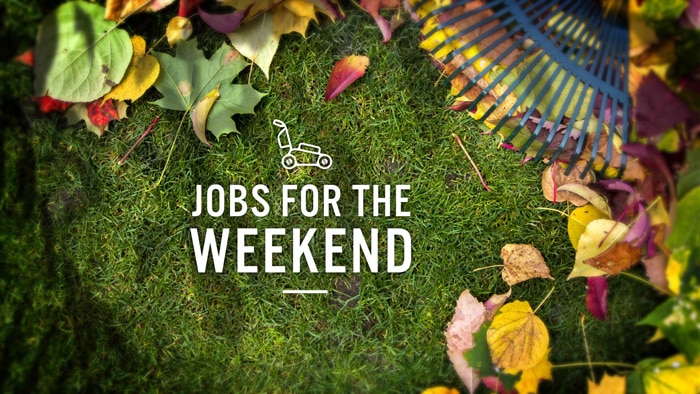 Jobs for the Weekend Image