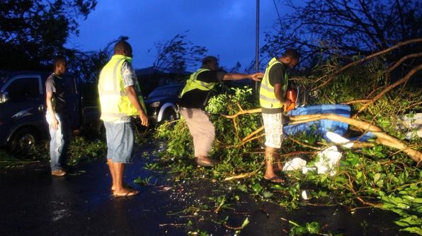 Fallen trees in Vanuatu after Tropical Cyclone Pam