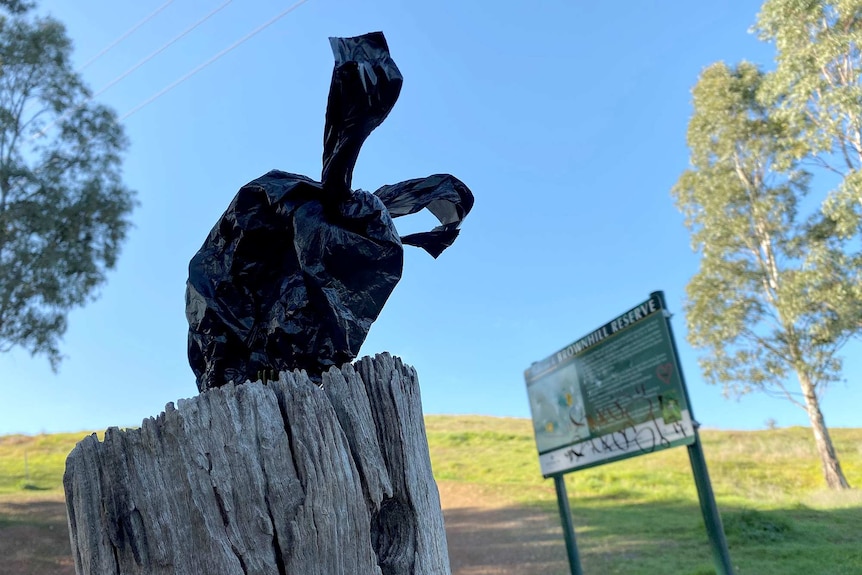 A black plastic bag sits atop a post with blue skies behind it.