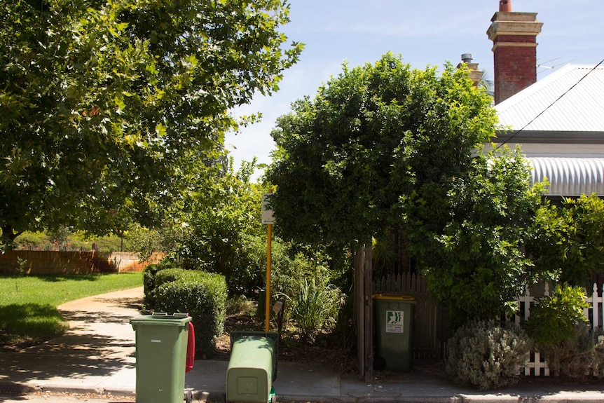 Edible pocket garden tucked between a pathway and a neighbouring fence in Bayswater