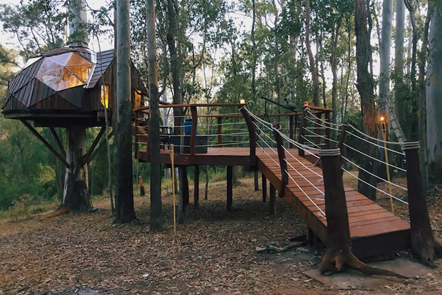 A wooden ramp leading to a circular tree house built around the trunk of a large tree