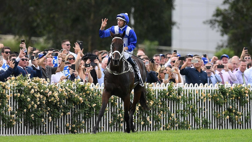 Hugh Bowman celebrates as the crowd cheers on atop Winx after winning the George Ryder Stakes